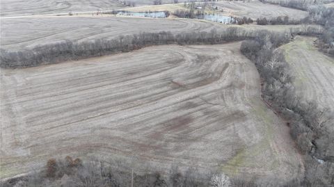 Tiny photo for 0 Pike 409, Bowling Green, MO 63334 (MLS # 25007877)