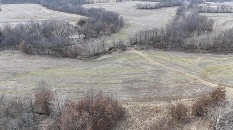Tiny photo for 0 Pike 409, Bowling Green, MO 63334 (MLS # 25007877)