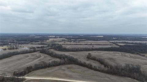 Tiny photo for 0 Pike 409, Bowling Green, MO 63334 (MLS # 25007877)
