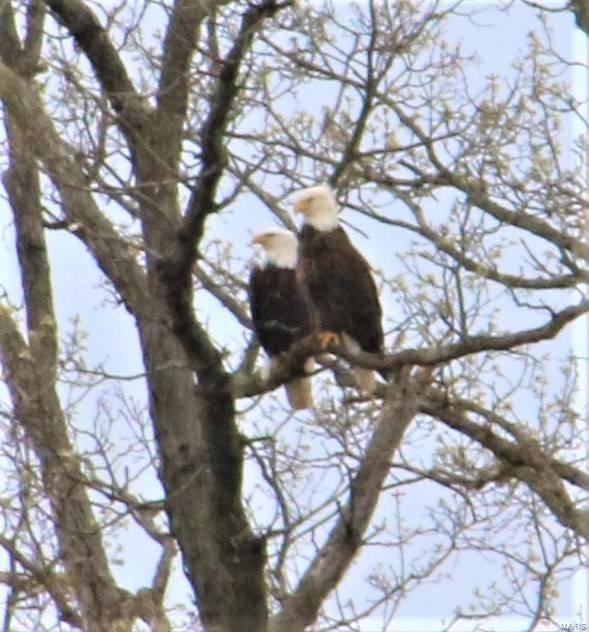 Lsl High Pt #1 - Residential