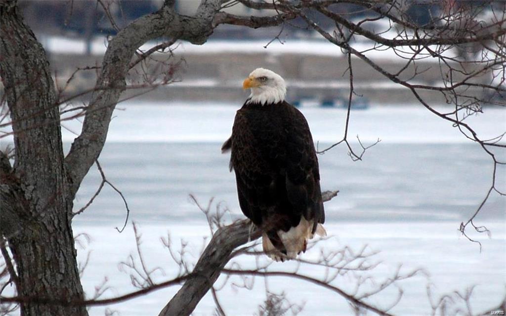 Lsl High Pt #1 - Residential