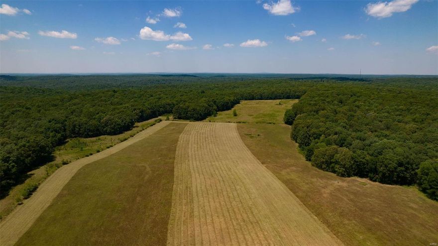 This is a fantastic opportunity to own a large hunting and pasture ranch in Southeast Missouri.  Just minutes from Marble Hill (Bollinger County seat) and Castor River Conservation Area, and 50 minutes west of Cape Girardeau, this 477.43-acre ranch offers an amazing array of resources.  Its rolling Ozark hills consist of approx. 92 acres of pasture, 380 acres of timber, a 4-acre stocked pond, an 80x30 metal shop, and a lodge in need of some TLC.  You simply must experience the sights and sounds of this ranch in person.  
 The perimeter is cleared and fenced, making for easy access to trails, hunting areas, and food plots. Wildlife is abundant; five bucks were spotted at the pond at the time of listing.   If you are looking for a family legacy property to enjoy for generations to come, this is it.  Owner will consider splitting the parcels, approx. 295.80 acres to the north of BCR 702 and approx. 181.63 acres to the south. 
 Don’t miss the opportunity to purchase your dream property!