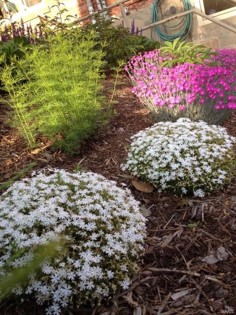 Clayton Gardens 2 - Residential