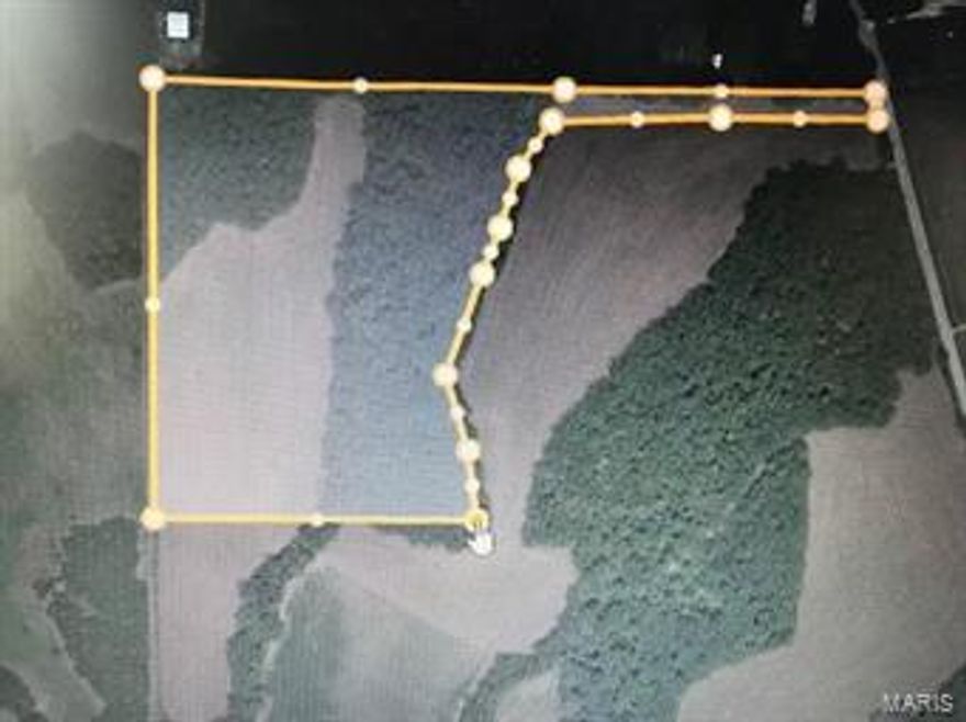 Stop loooking and get ready to build!! Beautiful property with a near perfect mix of woods and pasture that everyone would love. Minimal restrictions, no mobile homes allowed. Lot is part of a larger parcel 23-1-01.0-0-000-025.000 with final boundaries to be set prior to closing, shown boundaries are approximate.