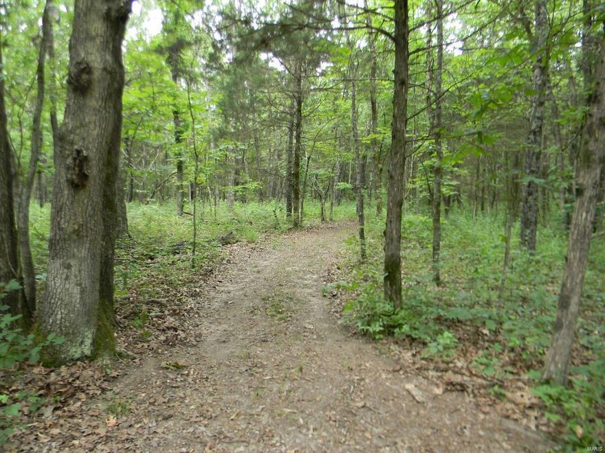 A RARE FIND with this wooded 20.72 acre property including a 33.5 ft travel trailer for those overnight get-away stays!! This nice property has trails cut through the woods & along the fenced perimeter for easy access to every part of the land including to the sturdy deer stand complete w/heater...lots of wildlife has been seen PLUS make use of the target practice area! Protected by a covered pavilion & on concrete pads edged w/new rock, the 2004 travel trailer sleeps 4 & has a nice kitchen set-up...great condition! A newer shed w/garage door is great for storing extra items, too! 200 amp electric, well & septic tank complete this fantastic property. Whether you want to camp, hunt or make plans for your new home, this place would be perfect as it's only minutes from Cuba for easy access to shopping & restaurants. Just off of I-44, it's only an hour to the city! Make this YOUR place to get away from it all! **Zero turn mower can be included in sale for right price!**