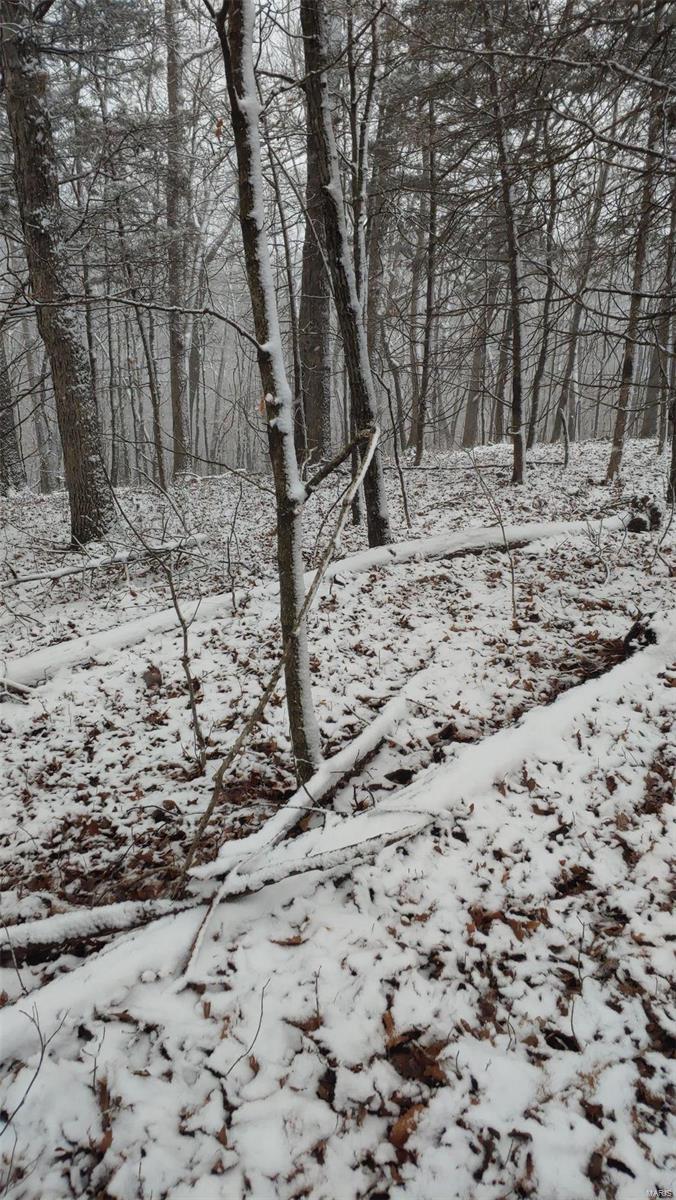 Lake Sherwood Estates - Land