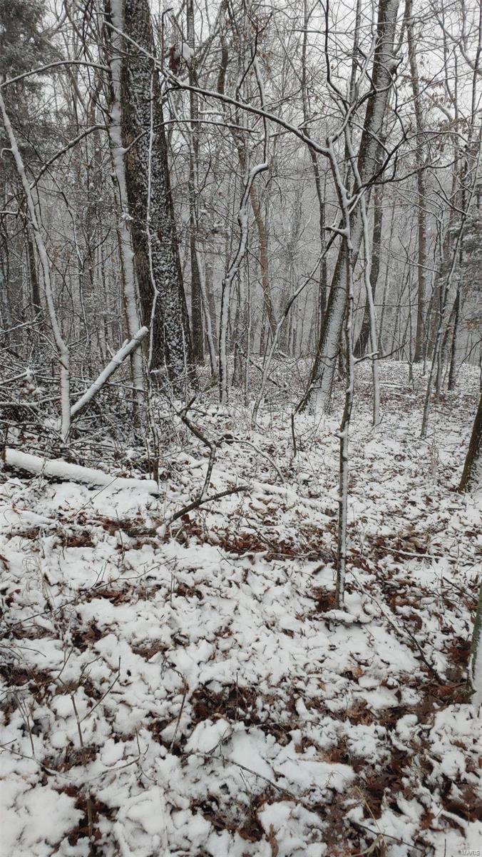 Lake Sherwood Estates - Land