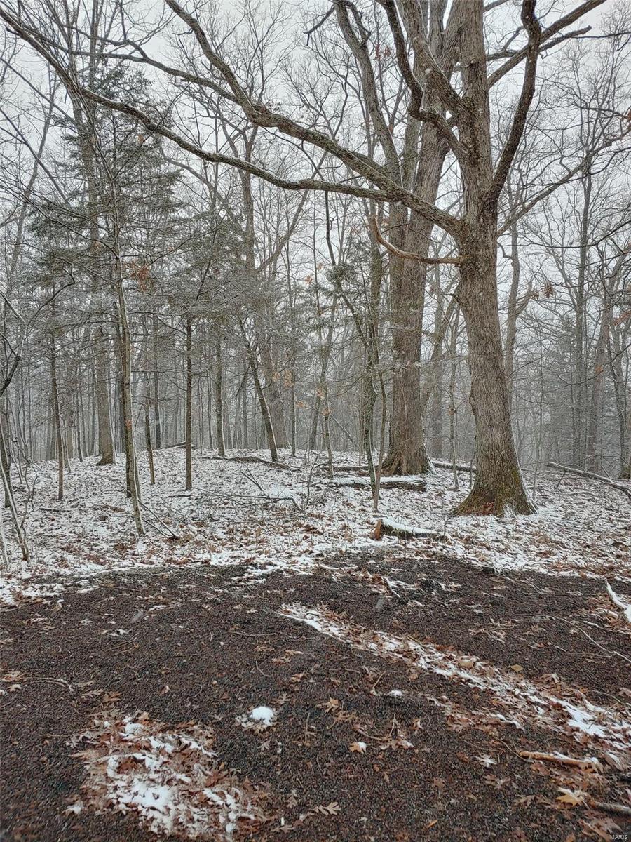 Lake Sherwood Estates - Land