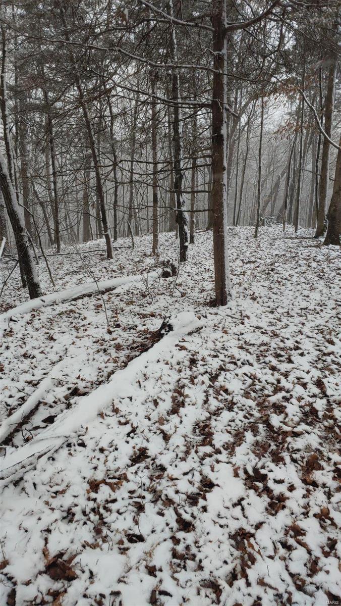 Lake Sherwood Estates - Land