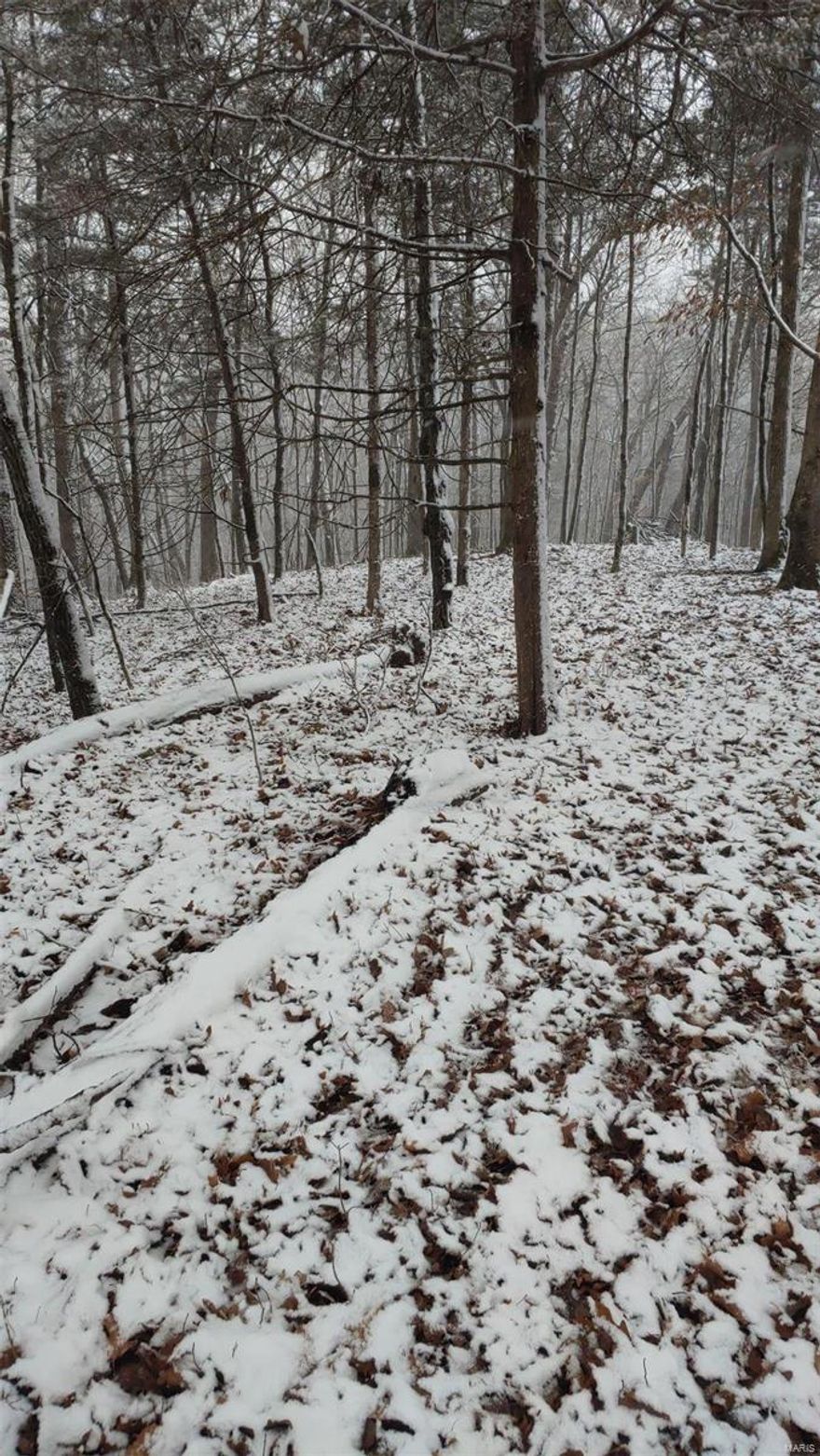 Lake Sherwood Estates a 24-Gated Lake Community features 2422 Lancers Court located in Warren County. 3 miles from the front gate. This lot is FLAT which is golden in LSEA close to the campgrounds situated on a cal-de-sac and a steal of a deal for $3000 backs up to common ground a bonus. You can have access to our amenities or build w/ no time frame if you wish to do so. Water, sewer & electric are assessable for hook up. A piece of paradise to relax fish, swim and go boating and or build your dream home on this site. With this comes All year-round lake 24hr gated community 6 stocked Lakes ranging in sz from 3-135 acres. Bran-new 2021 Clubhouse in the works a Club Pool, campgrounds and full shower house w/ seasonal year-round festivities, sandy beach area marina and much more! See Lake Sherwood web site for indentures https://lakesherwoodestates.Net/