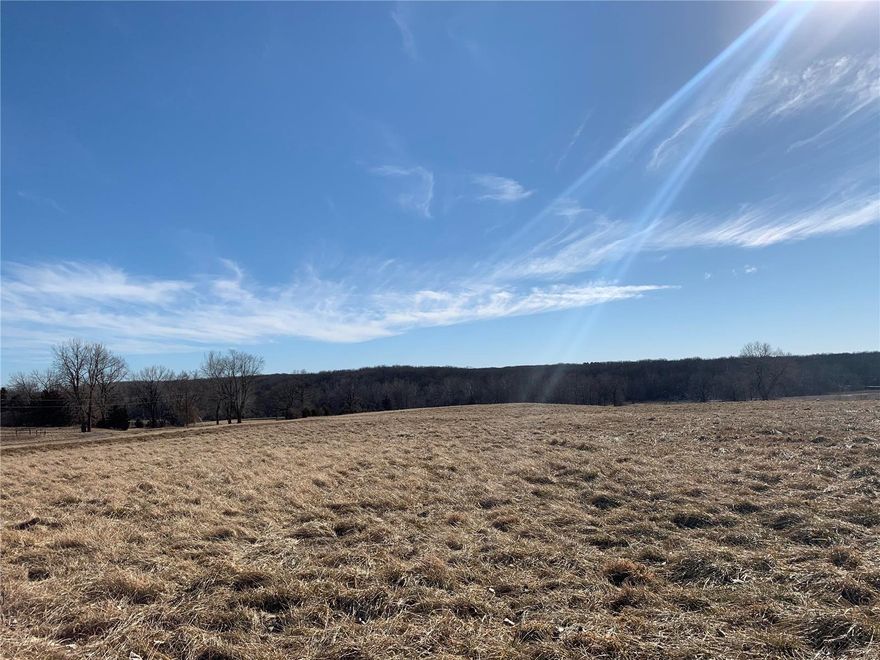 Beautiful gently rolling acreage with 3 acre lake, nice barn and 104 acres tillable! Seller is willing to agree to an option to farm for 3 years at $140 an acre.
