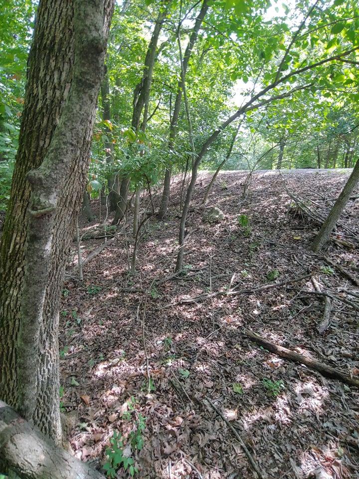 Lake Sherwood Estates - Land