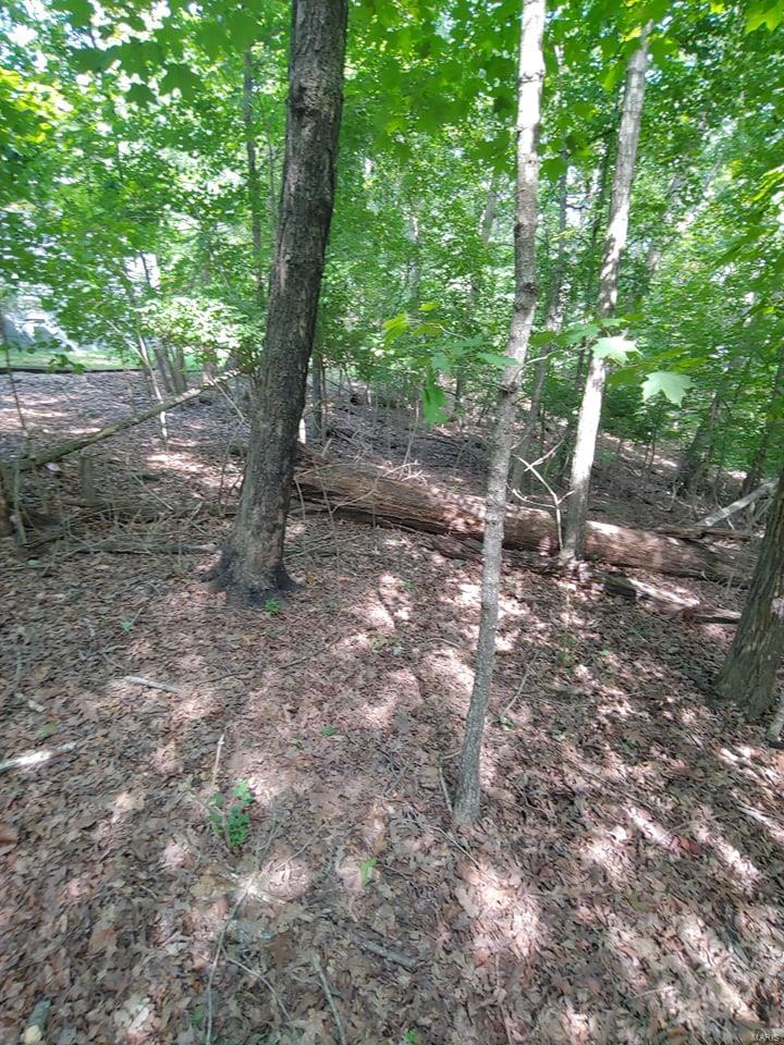 Lake Sherwood Estates - Land