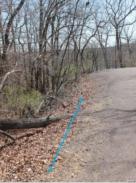 Lake Sherwood Estates - Land