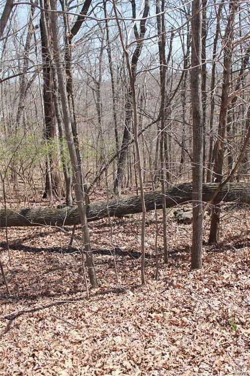 Lake Sherwood Estates - Land