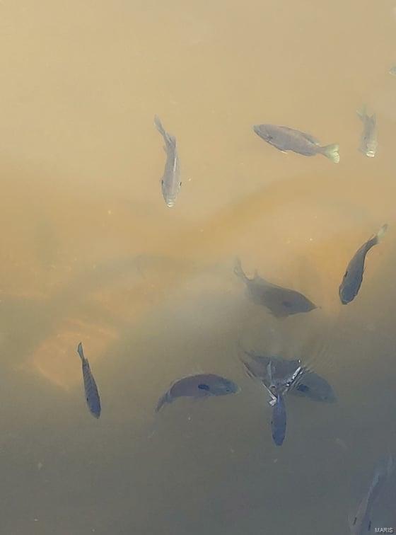 Lake Sherwood Estates - Land