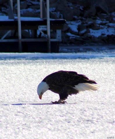 Lake Sherwood Estates - Land