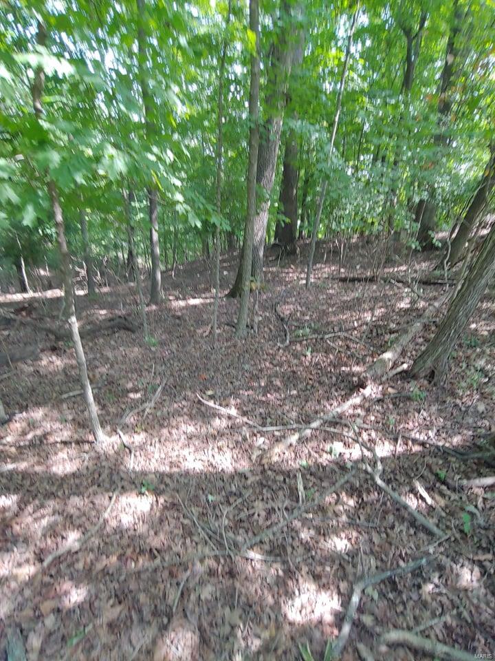 Lake Sherwood Estates - Land