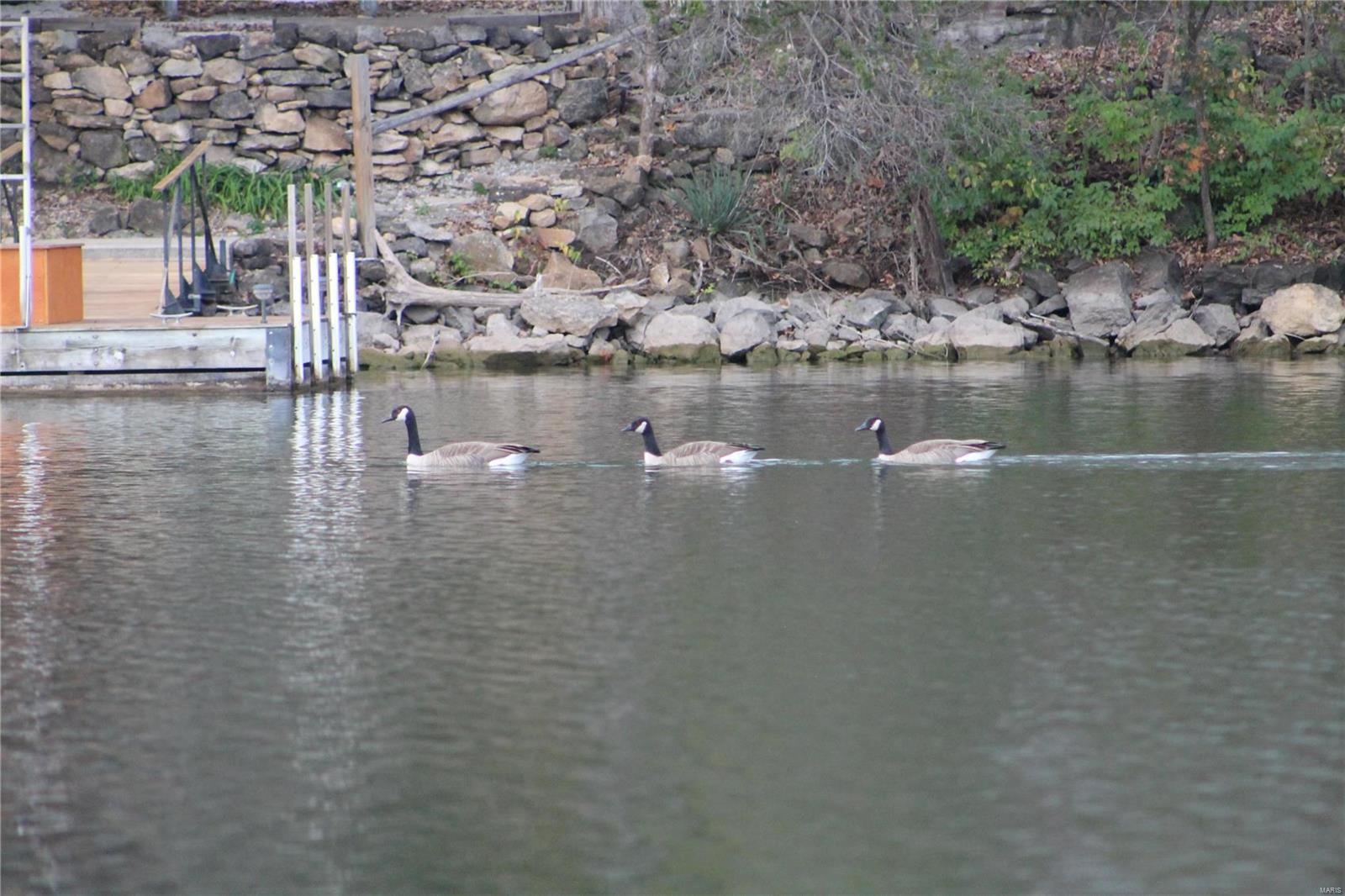 Lake Sherwood Estates - Land