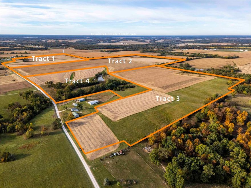 AUCTION LISTING - List price is not indicative of Seller’s final reserve amount.  This property is part of an online bidding event.  This sale will be executed with a no-contingency contract provided by brokerage representing the Seller.  Contact with occupants is strictly prohibited. See Auction Supplement Document for complete details.  Just outside of La Grange is this highly productive row crop farm being sold at Auction in 4 tracts.  Farm offers some of the best soils in Lewis County.  Approximately 15 minutes from Quincy.  This farm has something for everyone with the Blacktop frontage, build sites, 1± acre lake, and great tillable.