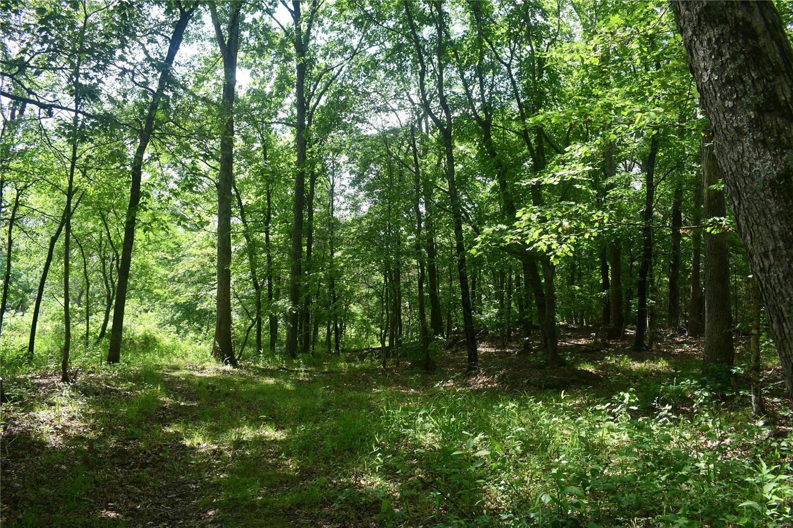 Farmington, Missouri 63640, United States, 2 Bedrooms Bedrooms, ,2 BathroomsBathrooms,Residential,Pending,56657