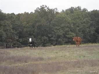n/a - Farm