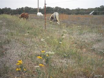 n/a - Farm