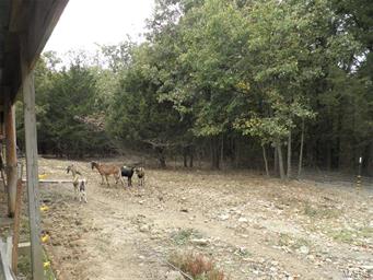 n/a - Farm