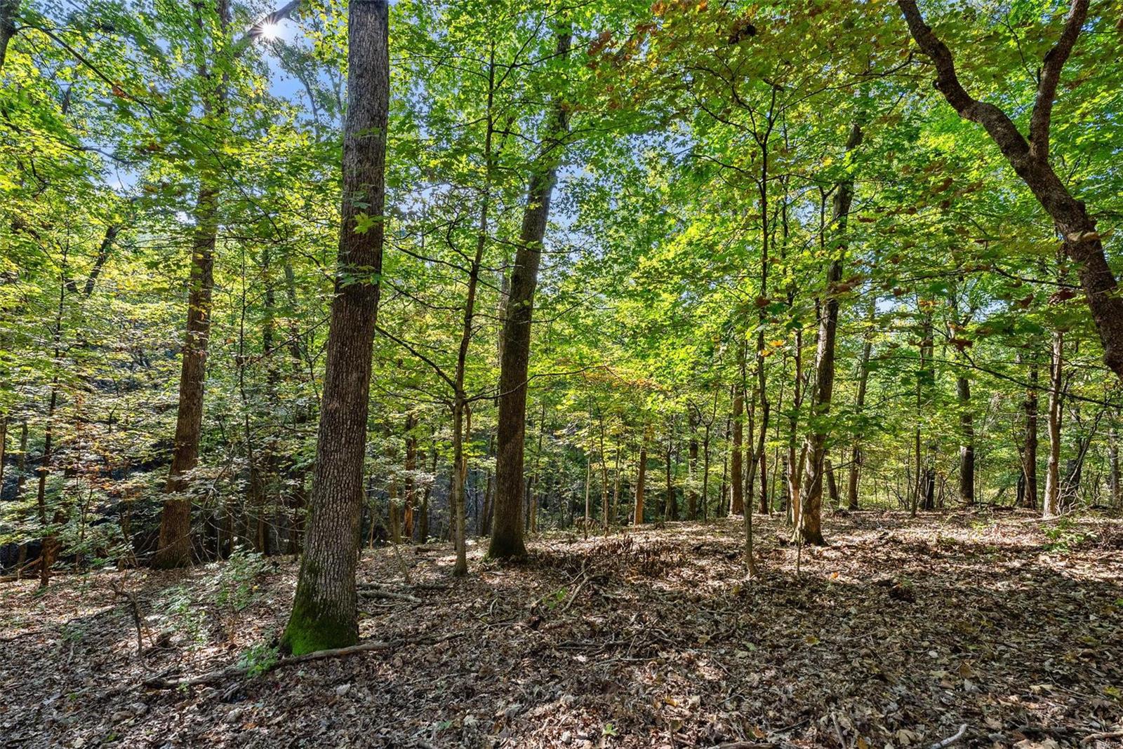 Callaway Farms - Residential
