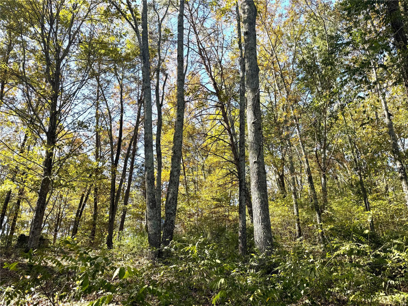 Haggett SUB_DIV - Residential