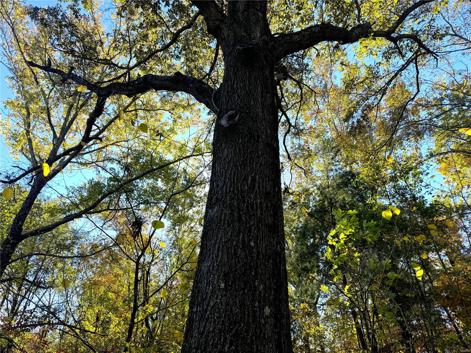 Haggett SUB_DIV - Residential