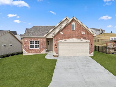 2995 Halls Green Drive Washington MO 63090