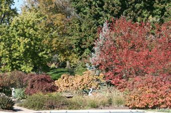 Barrington Place - Residential