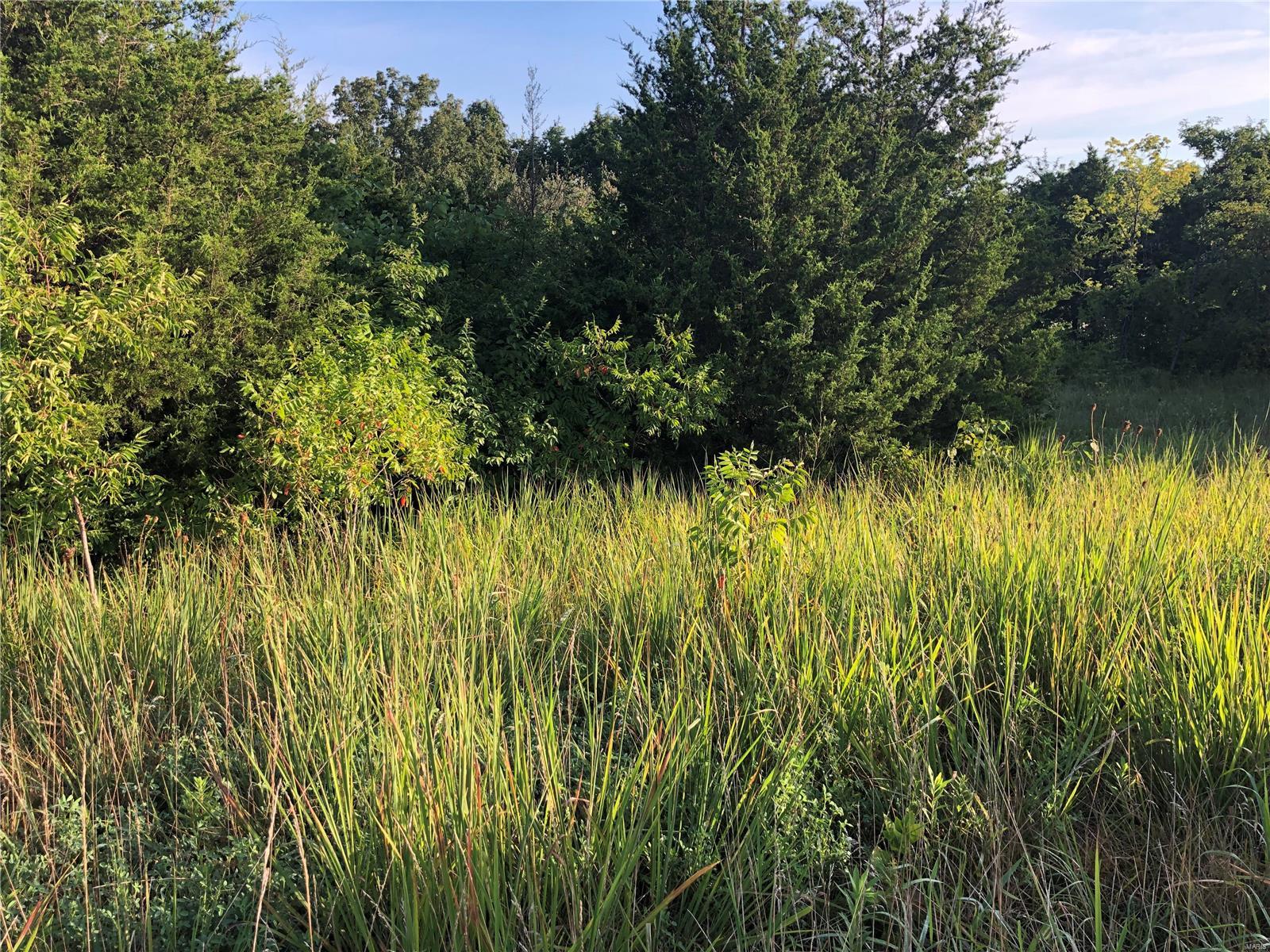 Oermann Heights, Lot 1 - Land