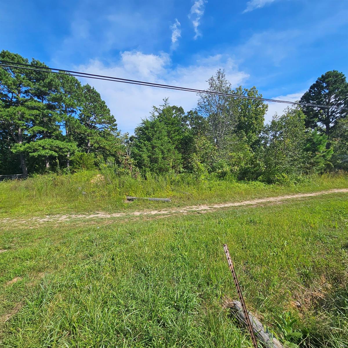 View Dixon, MO 65459 land