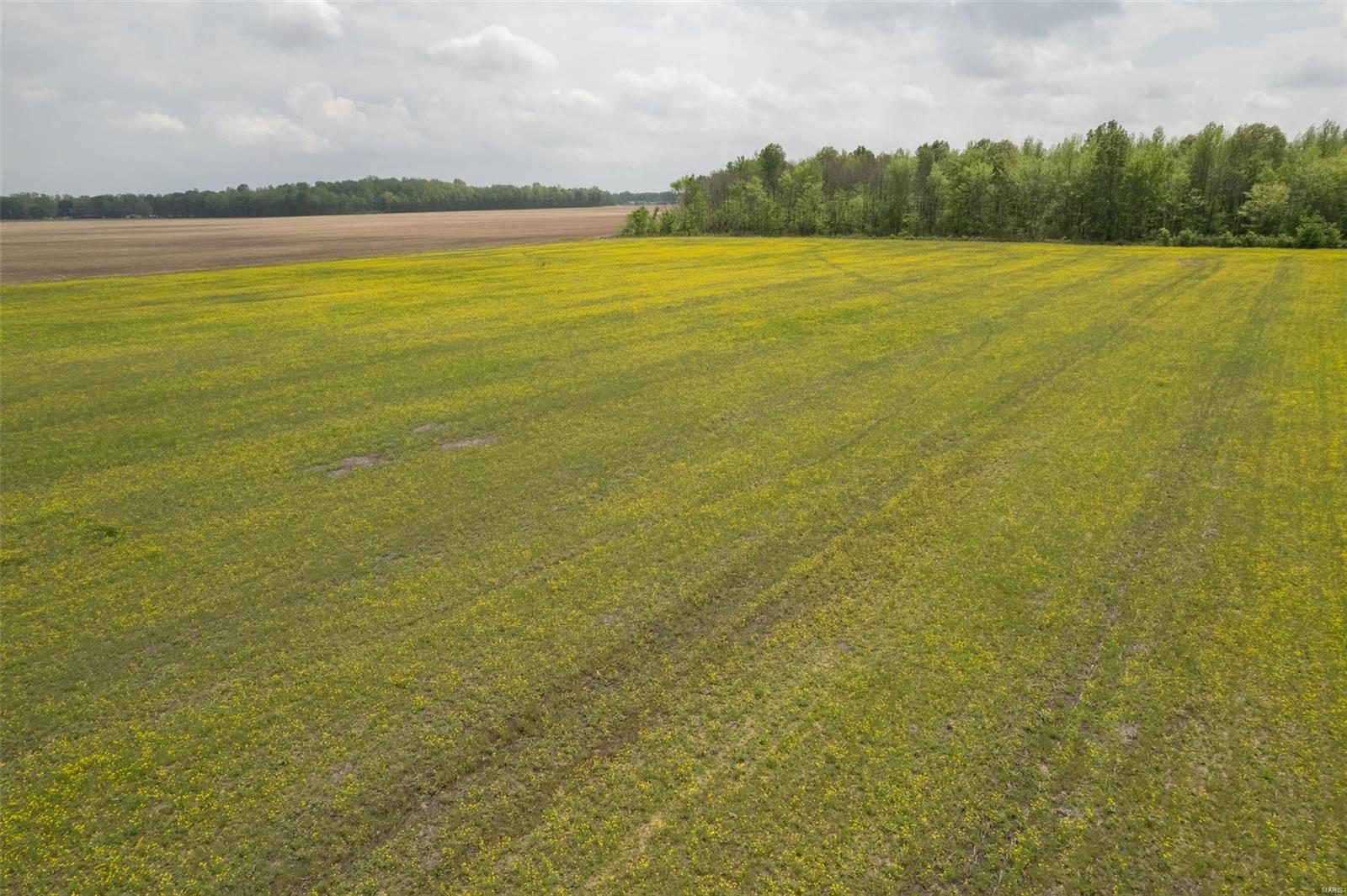 NON SUBDIVISION - Farm