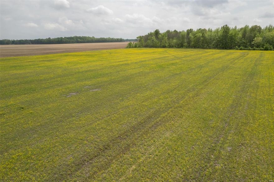 This 14 acres M/L of row crop land is currently leased to a local farmer who is growing soy beans on it.  This acreage has been recently surveyed.  This productive farm ground is priced considerably lower per acre than other farm properties nearby.  This would be a great place to build a house or multiple homes.  Make your appointment to look at this tract of land today.