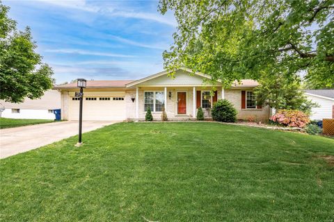 22 May Valley Lane Fenton MO 63026