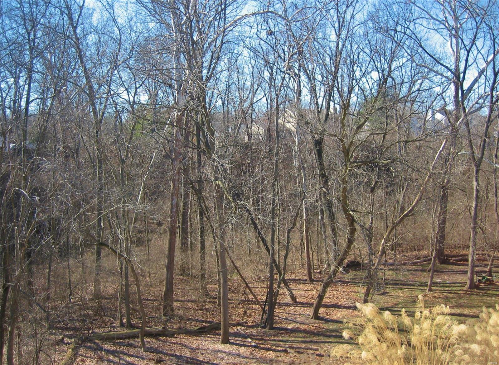 Wheeler Canyon Estate #2 - Residential