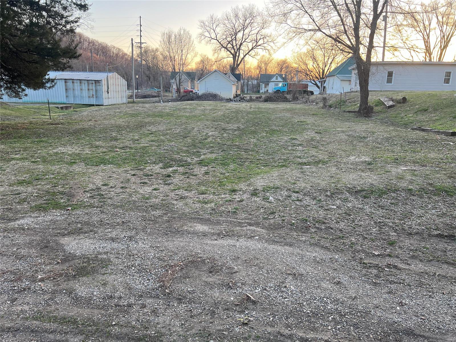 View Louisiana, MO 63353 property