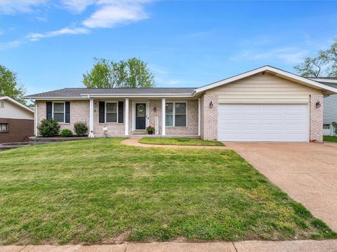 2517 Alcarol Drive Fenton MO 63026