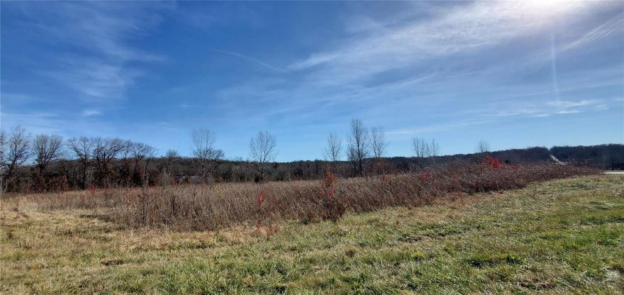 2.5 +/- acres Commercial lot conveniently located approx 2 miles from Interstate 44 in Union MO with HWY 50 frontage.  With about 700 feet of road frontage and approximately 19,000 vehicles per day (per MODT 2018) why wouldn't you want to build your business here?  Within a half mile there are restaurants, national retail chain store, filling station, industrial park, residential subdivisions, the opportunities are unlimited!  Level lot with utilities are at site and/or are close. Location: Corner Location, High Traffic, Hwy/Interstate Frntg, Other