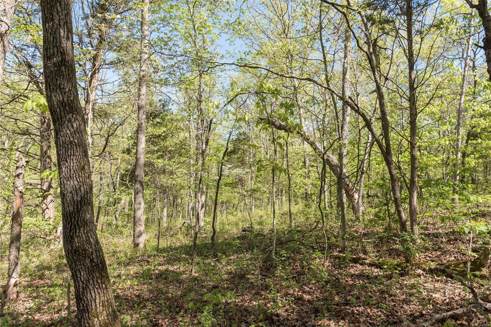 Red Oaks Valley - Land
