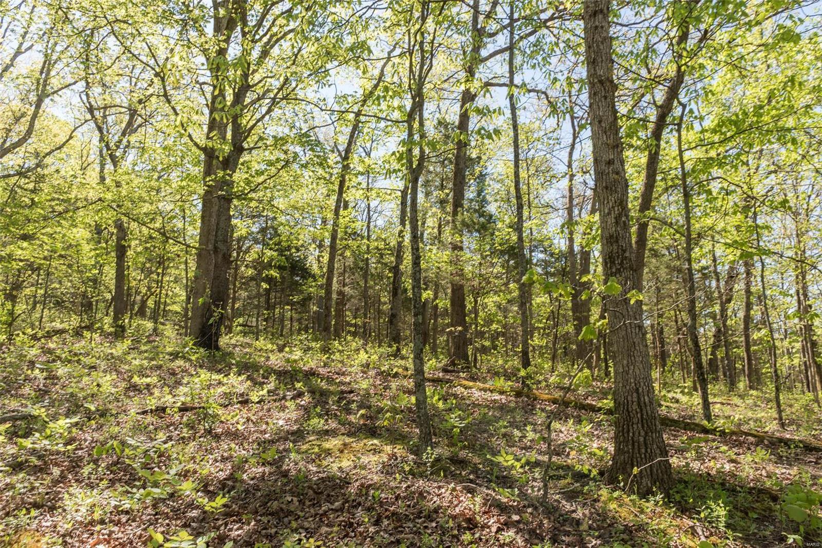 Red Oaks Valley - Land