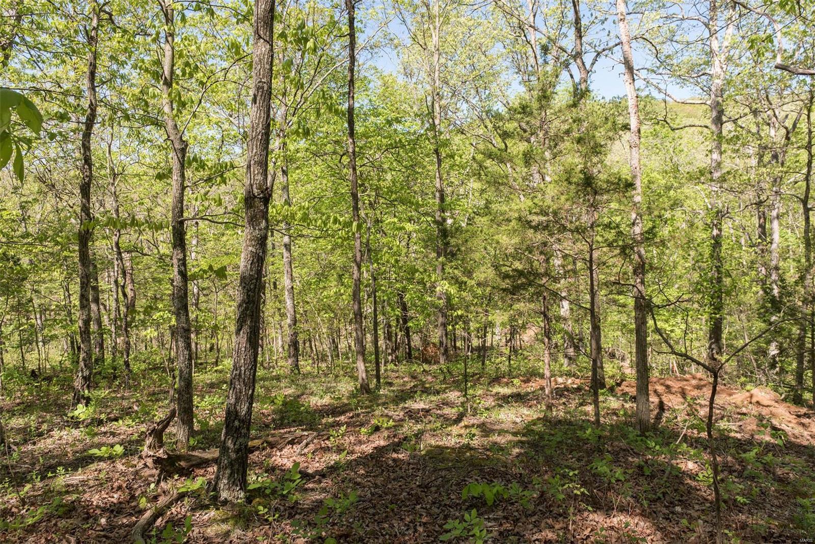 Red Oaks Valley - Land