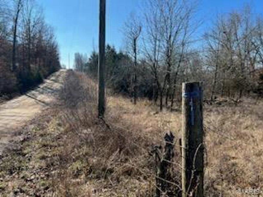 3ac m/l with water and electric. The property has an old home that needs to be torn down, home has no value. This property has a spring and is the perfect spot for your new home.