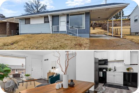 3725 Louis Street, St Louis, MO 63116 - MLS#: 25012735