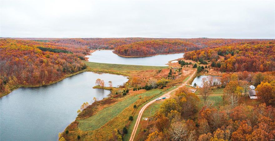 This excellent 492 ac property consists of a 14-ac lake & also a 41-ac lake loaded w/bass, bluegill, crappie, catfish & has even been stocked w/paddlefish by owner that was suggested by MO Conservation Dept. Property is adjacent to & almost surrounded by the Mo Dept of Conservation & Indian Trail Conservation Area consisting of over 13,000 acres. Victory Lakes is under an exceptional timber plan as designed by its own forest management plan through a detailed timber stand improvement plan. This remote property has some of the finest trophy deer & turkey hunting in the county. Situated in the middle of MO floating country. The Meramec, Huzzah, Courtois, Current, & Jacks Fork are known for all day kayak & canoe trips w/trophy smallmouth bass, brown & rainbow trout in some. Maramec Springs Trout Hatchery & Montauk State Park are 2 of the best managed trout fisheries. There's been a recent timber cruise on the property, & shows that the timber on Victory Lakes is outstanding.