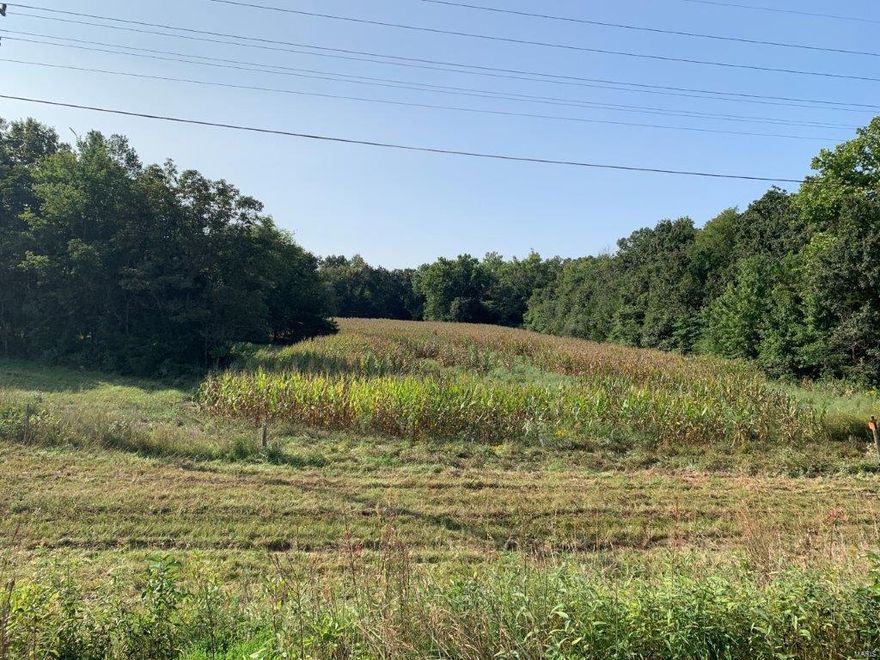 Highway 70 Frontage!  Great laying parcel with a half mile of Hwy 70 frontage.  Just west of the Stracks Church Rd Hwy overpass.
Over half open with a good mix of cropland, meadows and timber.  Several ponds and outbuildings.  Fantastic investment or 1031 tax exchange opportunity. Billboard lease