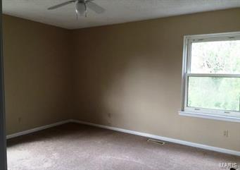 Lake Virginia - Residential